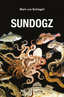 Sundogz (Semiotext(e) / Native Agents)