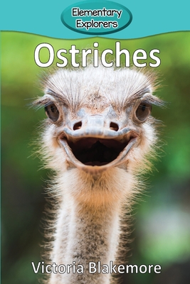 Ostriches (Elementary Explorers #91) By Victoria Blakemore Cover Image