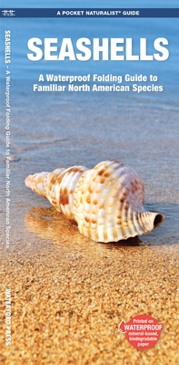 Seashells: A Waterproof Folding Guide to Familiar North American Species By James Kavanagh, Leung Raymond (Illustrator) Cover Image