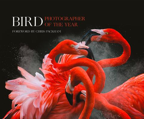 Bird Photographer of the Year: Collection 3 Cover Image