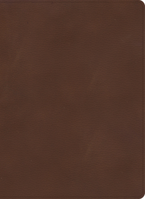 KJV Single-Column Wide-Margin Bible, Brown LeatherTouch By Holman Bible Publishers Cover Image