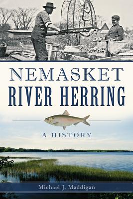 Nemasket River Herring:: A History (Natural History) Cover Image