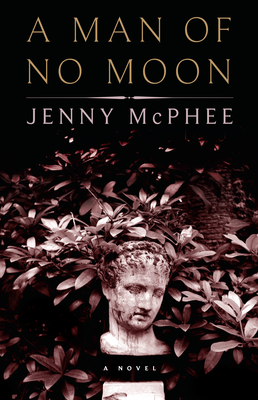 Cover for A Man of No Moon