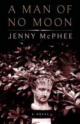 Cover for A Man of No Moon: A Novel