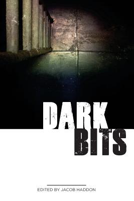 Dark Bits By Robert Ford, G. N. Braun, Jeremy Shipp Cover Image