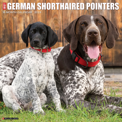Just German Shorthaired Pointers 2024 12 X 12 Wall Calendar Cover Image