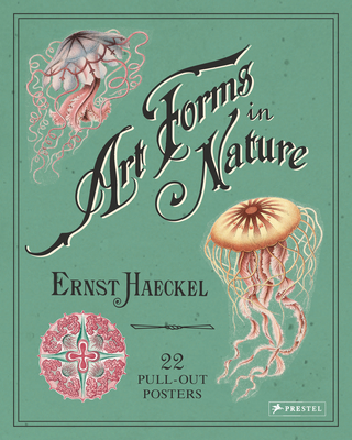 Art Forms in Nature: 22 Pull-Out Posters Cover Image