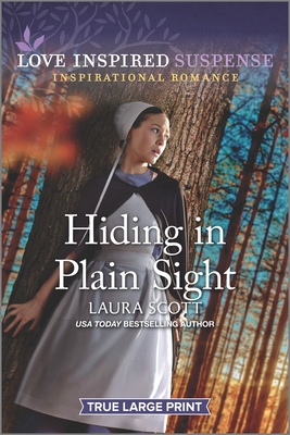 Cover for Hiding in Plain Sight