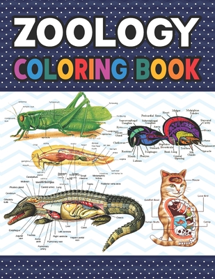 Zoology Coloring Book: Collection of Simple Illustrations of Zoology. Younger kids for learn anatomy dog, cat, horse, turtle, frog, bird, fis Cover Image
