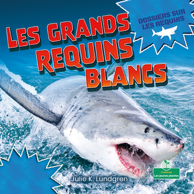 grand requin blanc