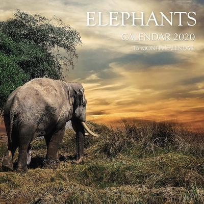 Elephants Calendar 2020: 16 Month Calendar By Golden Print Cover Image