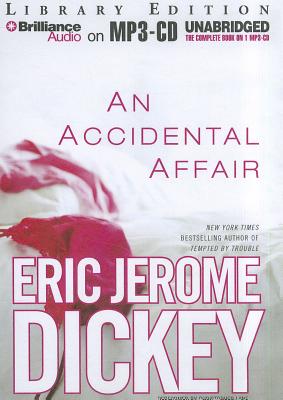 An Accidental Affair Cover