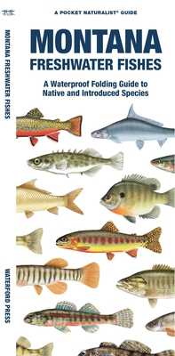 Montana Freshwater Fishes: A Waterproof Folding Guide to Native and Introduced Species (Pocket Naturalist Guide)