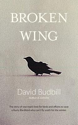 Cover for Broken Wing