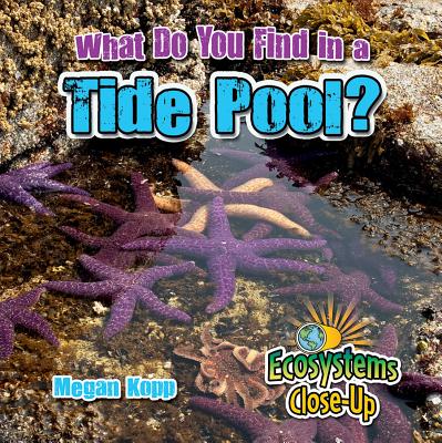 What Do You Find in a Tide Pool? (Ecosystems Close-Up)