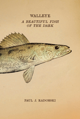 Walleye: A Beautiful Fish of the Dark By Paul J. Radomski Cover Image