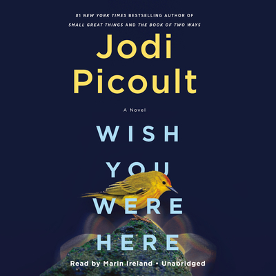 Wish You Were Here: A Novel By Jodi Picoult, Marin Ireland (Read by) Cover Image