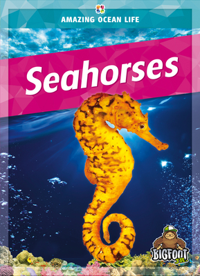 Seahorses By Colleen Sexton Cover Image