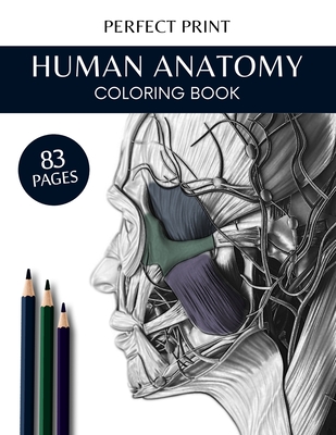 anatomy coloring book pages to print