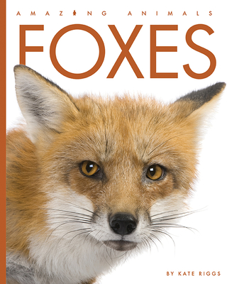 Foxes (Amazing Animals) By Kate Riggs Cover Image