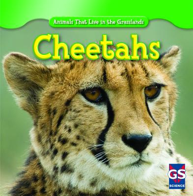 Cheetahs (Animals That Live in the Grasslands) (Library Binding) |  Malaprop's Bookstore/Cafe