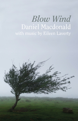 Blow Wind By Daniel MacDonald, Eileen Laverty Cover Image