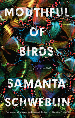 Mouthful of Birds: Stories By Samanta Schweblin, Megan McDowell (Translated by) Cover Image
