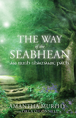 The Way of the Seabhean: An Irish Shamanic Path Cover Image