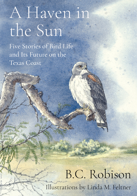 Cover for A Haven in the Sun