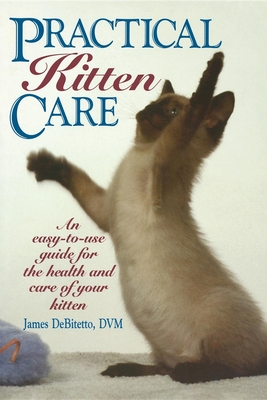 Practical Kitten Care By James DeBitetto Cover Image