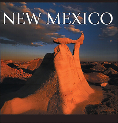 New Mexico (America) By Tanya Lloyd Kyi Cover Image