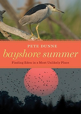 Bayshore Summer Cover