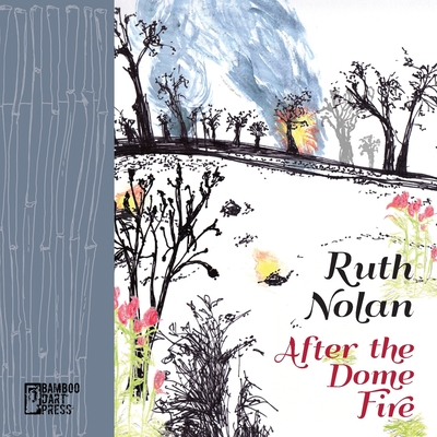 After the Dome Fire By Ruth Nolan Cover Image