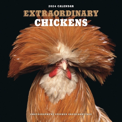 Extraordinary Chickens 2024 Wall Calendar By Stephen Green-Armytage Cover Image