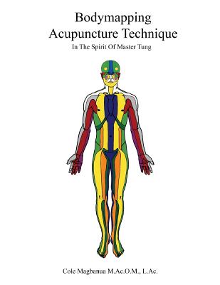 Bodymapping Acupuncture Technique: In the Spirit of Master Tung Cover Image