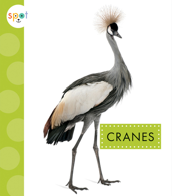 Cranes (Spot Big Birds) By Jessica Amstutz Cover Image