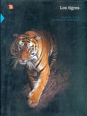 Los Tigres (Seccion de Obras de Ciencia y Tecnologia) By Pascal Picq, Francois Savigny, Maria Lebedev Pimentel (Translator) Cover Image