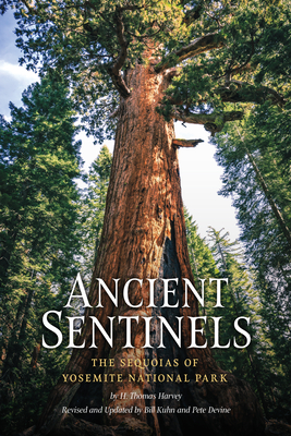 Ancient Sentinels: The Sequoias of Yosemite National Park Cover Image