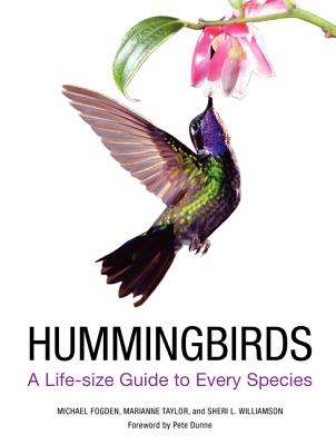 Hummingbirds: A Life-size Guide to Every Species Cover Image