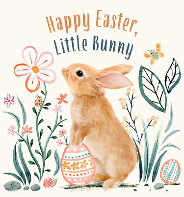 Happy Easter, Little Bunny (Baby Animal Tales) By Amanda Wood, Vikki Chu (Illustrator), Bec Winnel (By (photographer)) Cover Image