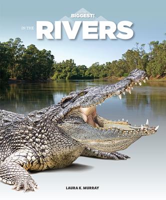 In the Rivers Cover Image