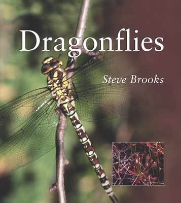 Cover for Dragonflies (Smithsonian's Natural World Series)
