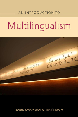 An Advanced Guide to Multilingualism By Larissa Aronin, Muiris Ó. Laoire (Foreword by) Cover Image