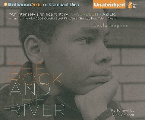 The Rock and the River Cover Image