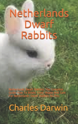 netherland dwarf rabbit care