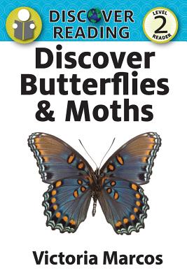 Discover Butterflies & Moths Cover Image