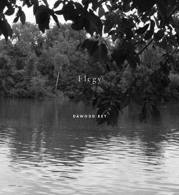 Dawoud Bey: Elegy By Dawoud Bey (Photographer), Valerie Cassel Oliver, Leronn P. Brooks (Text by (Art/Photo Books)) Cover Image