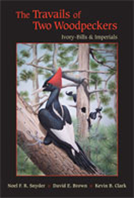 The Travails of Two Woodpeckers: Ivory-Bills & Imperials By Noel F. R. Snyder, David E. Brown, Kevin B. Clark Cover Image
