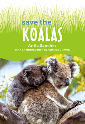 Koala Facts for Kids, Australian Animals