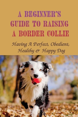 Raising a border store collie